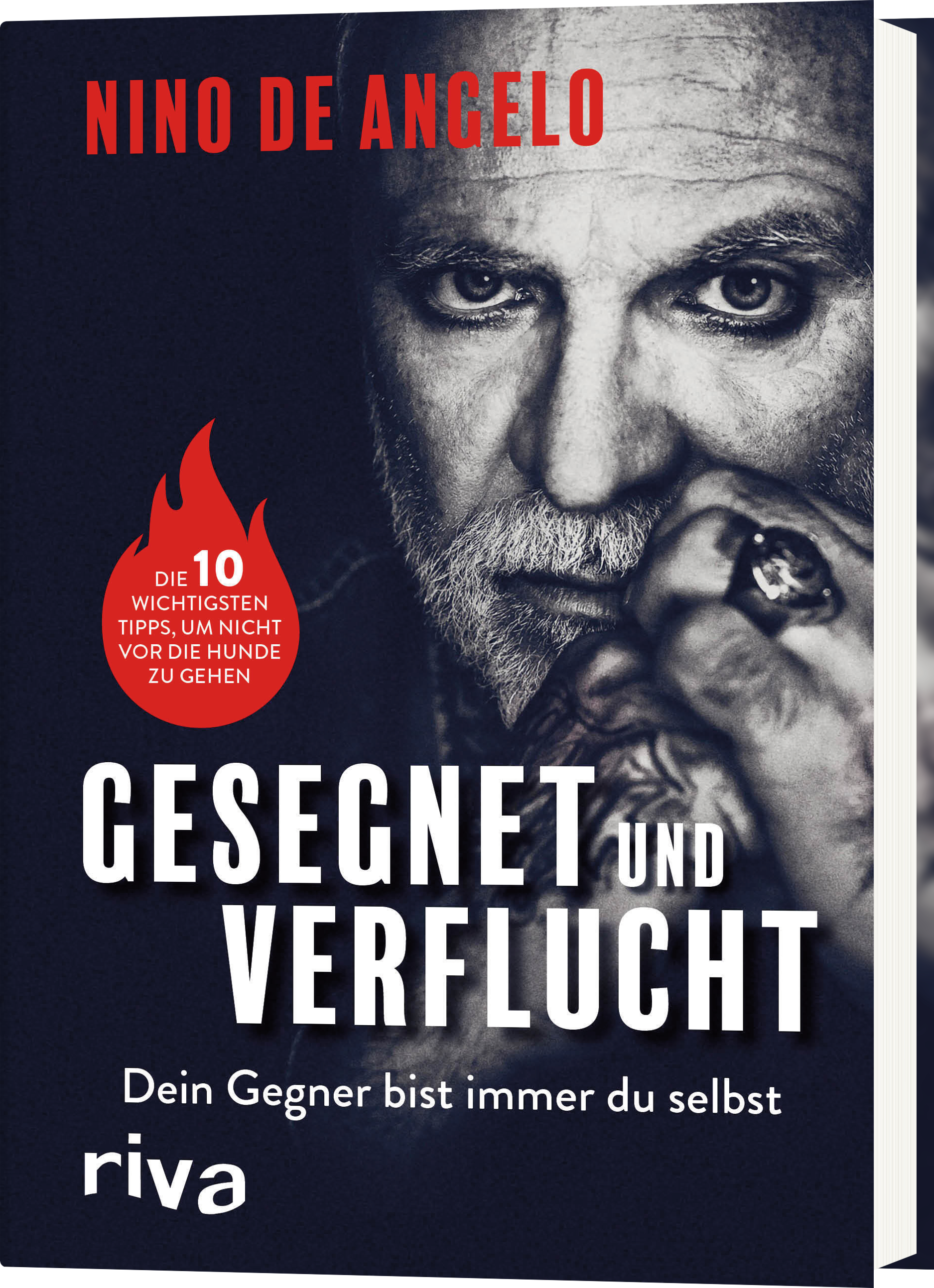 Buchcover Gesegnet und verflucht von Nino de Angelo